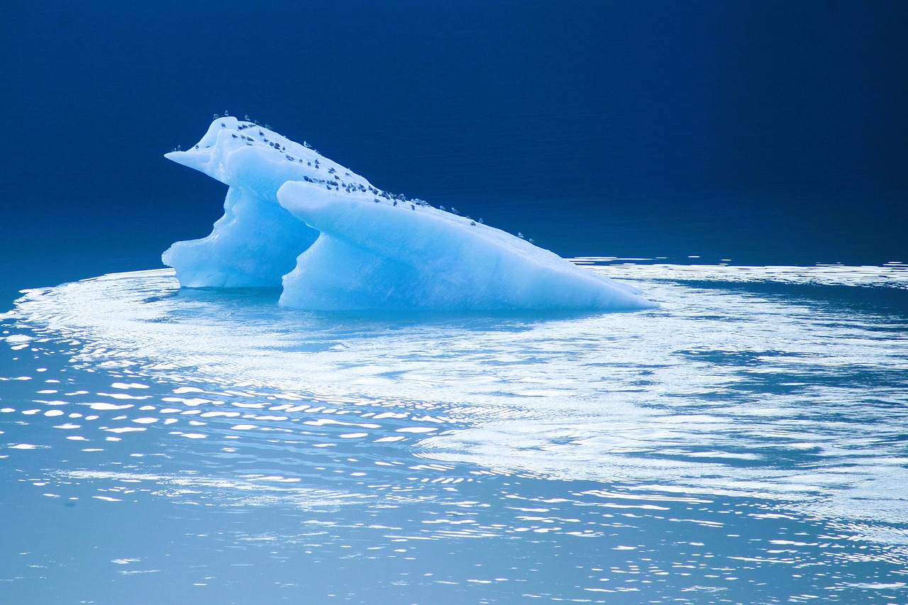 Glacier in ocean
