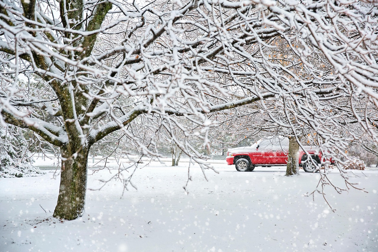 Snow covered truck